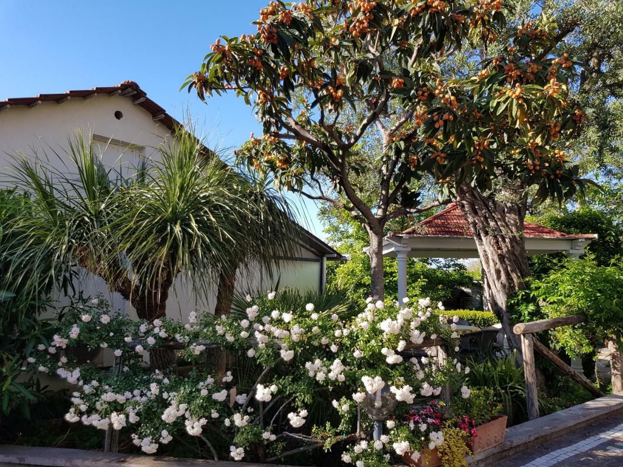 Villa Kalimera Sorrento Exterior photo